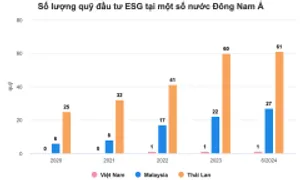 'Việt Nam đang chậm chân trong đầu tư xanh'