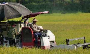 60% công nghệ bảo quản sau thu hoạch ở mức đơn giản